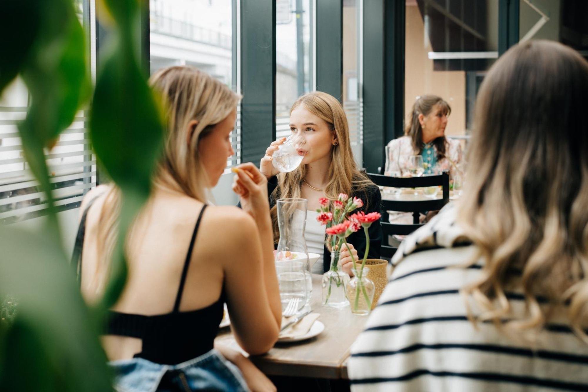 Hotel Gamlavaerket Gjaestgiveri Og Tracteringssted